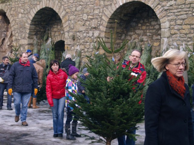 Weihnachtsbaumverkauf 2012